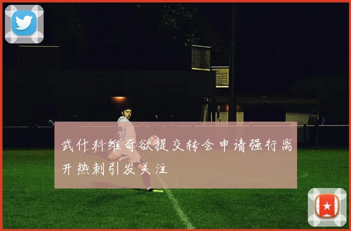 武什科维奇欲提交转会申请强行离开热刺引发关注